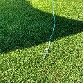 2025  Pivot - 8 metre - 7