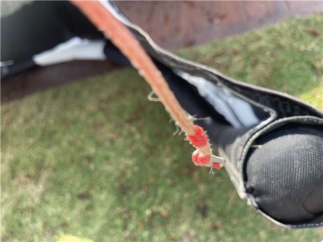 2020 Core Nexus - 13.5 metre