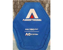 Armstrong Ha 1180 A+ 1180 cm foiling components (wings,masts,etc)