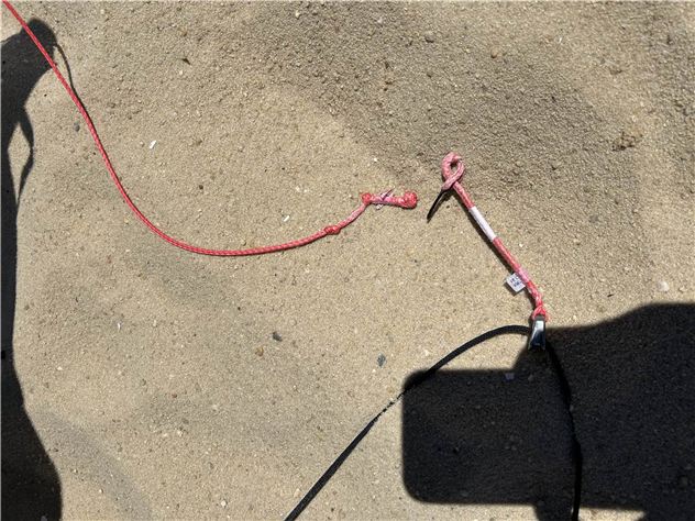 2024 Core Xr7 - 11 metre