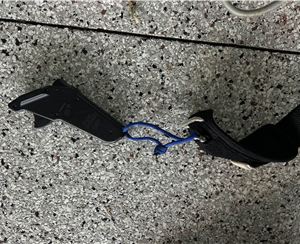 Foil Drive Assist Plus