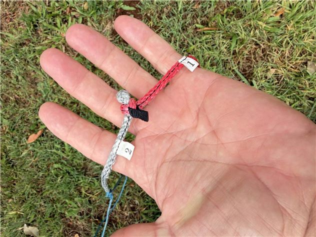 2025 Ozone Reo V7 Ultra X - 10 metre