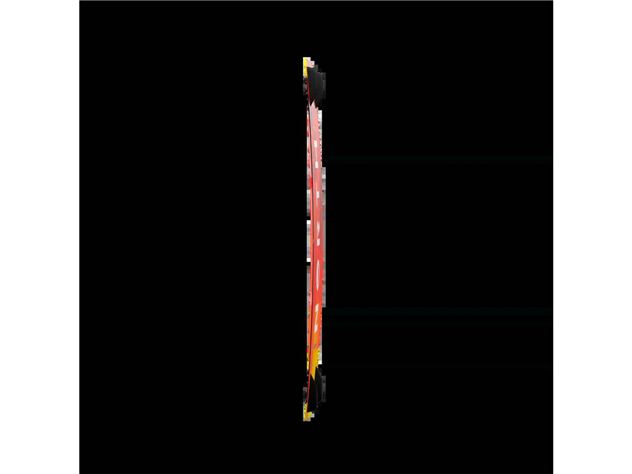 2025 North Prime Tt Board Only Sale