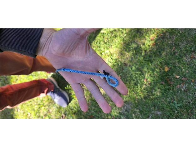 2024 Ozone Vortex - 10 metre