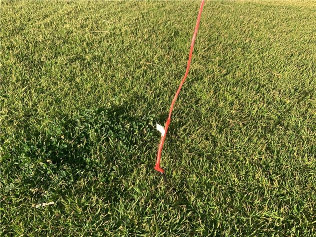 2024 Naish Pivot Nvision - 9 metre