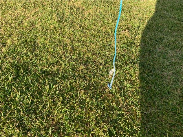 2024 Naish Pivot Nvision - 9 metre