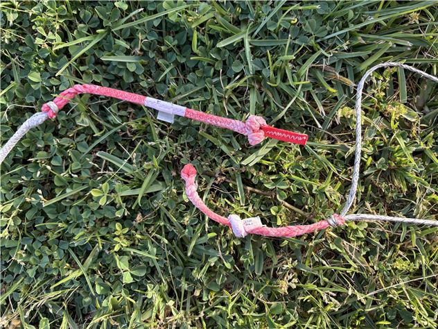 2021 North Orbit - 5 metre