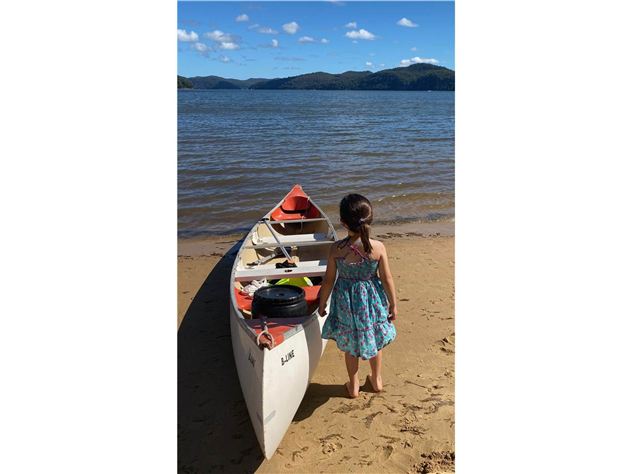 B-Line Emu - 6 metre