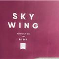 2020 Fanatic Sky Wing - 163 cm, 95 Litres - 2