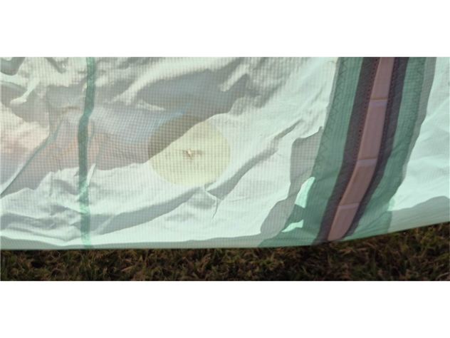 2021 Cabrinha Switchblade - 9 metre