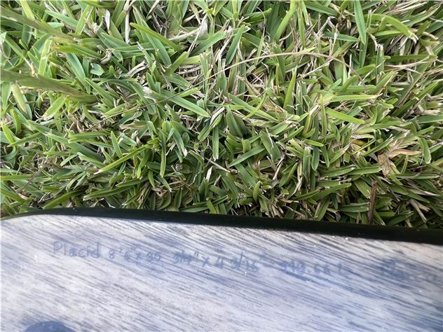 2024 Sunova Placid - 8' 6"