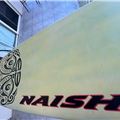 Naish Nalu - 10' 0