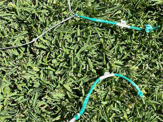 2024 North Orbit - 10 metre