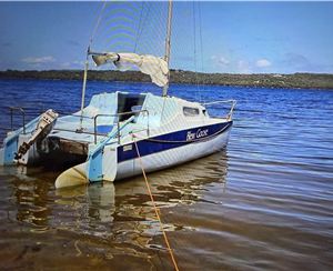 Trailer Sailer Cat Red Baron