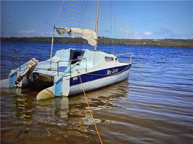 Trailer Sailer Cat Red Baron