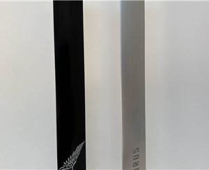 Lift 32 Inch Mast - 82 cm