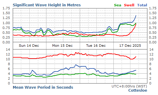 Cottesloe Live Swell Report