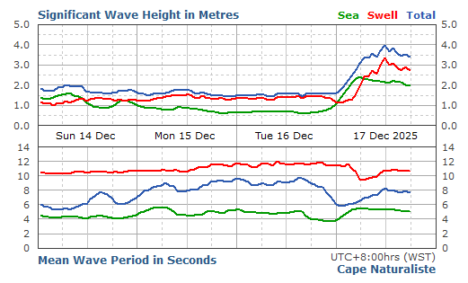 Cape Naturalist Live Swell Report