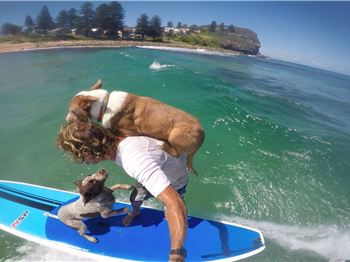 Dog love SUP even when it's a little 'Ruff'. - Stand Up Paddle News