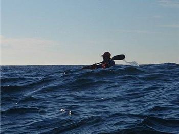 Whale watching on an ocean racing ski - Cruising News