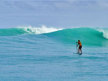 SUP'n in the British Virgin Islands - Stand Up Paddle News