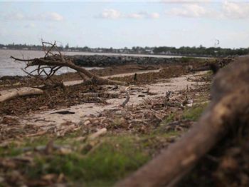 Moreton Bay covered in debris from Brisbane Floods - Kitesurfing News