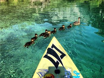 Proof that drafting works - Stand Up Paddle News