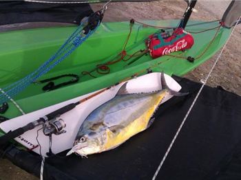 Weta Fishing - Fishing News