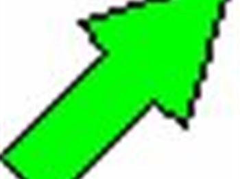 Keahi De Photographer - Longboards at Noosa. - Surfing News