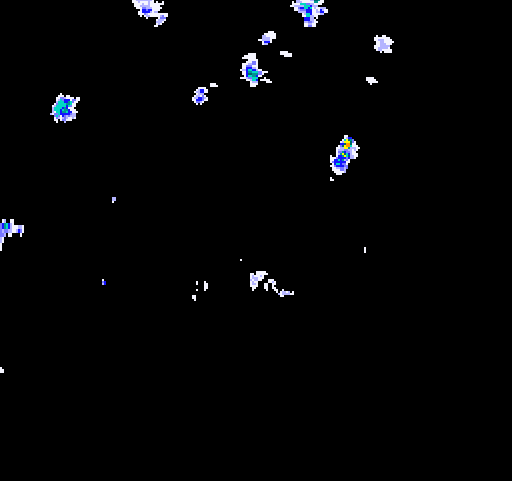 Rain Radar